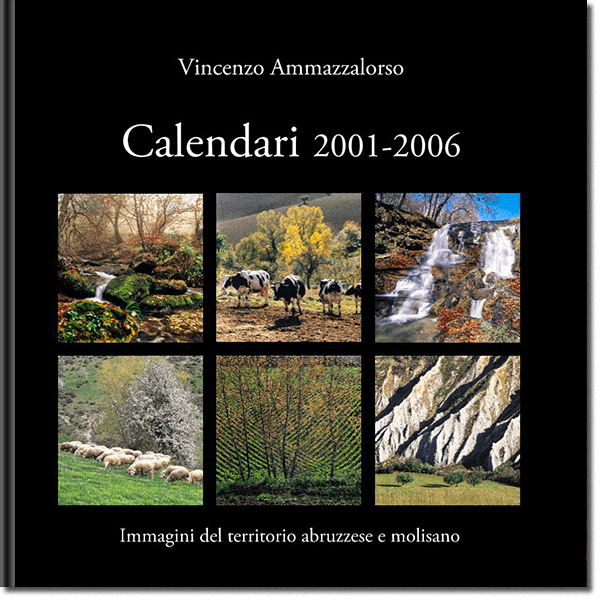 Vincenzo Ammazzalorso 